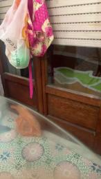 Riccicapricci84 — cam4