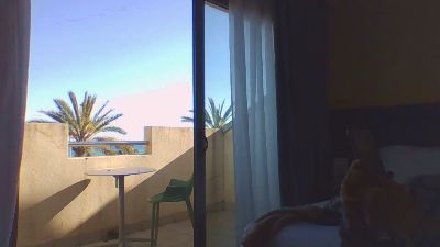 eins2eins3 — Cam4 stream photo (Dec 2025)