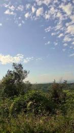 uncutcockitaly — modelo de webcam en línea en cam4