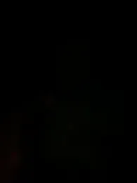 flaco251 — Stripchat stream photo (Apr 2026)