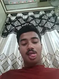 dildarlund — Stripchat stream photo (Feb 2026)