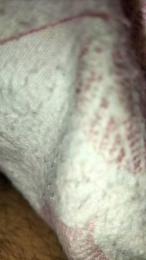 Parma696969 — Cam4 stream photo (Mar 2026)