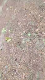 RUSbiNN — Cam4 stream photo (Jul 2026)