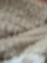 Lm0600 — Stripchat stream photo (Mar 2026)