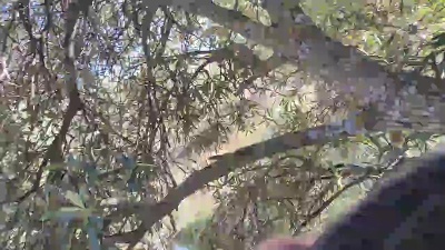X_joven20madr1 — modelo de webcam en línea en cam4