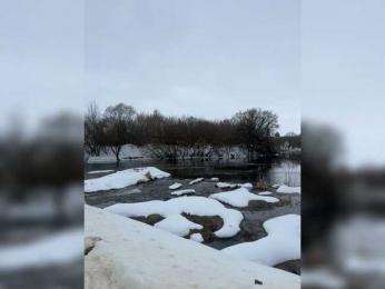 -Darinaa- — Bongacams stream photo (Mar 2026)