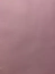 Cute_palak001 — modelo de webcam en línea en stripchat