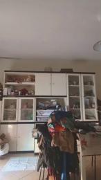 MissNinfea — Cam4 stream photo (Aug 2026)