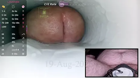 controlmytoys — Stripchat stream photo (Aug 2026)