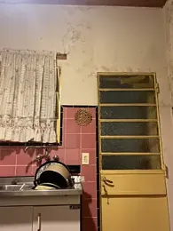 Petebulimia — Stripchat stream photo (May 2026)