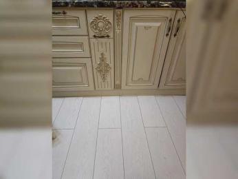 GTRent — Bongacams profile photo