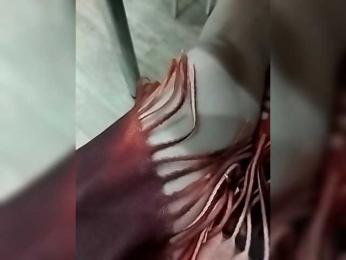 Traxuncik8894 — bongacams