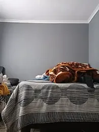 the_greatt — Stripchat stream photo (Aug 2026)