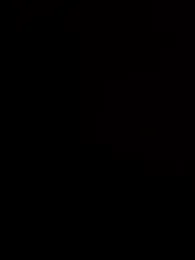 Leee_and_Dee — Stripchat profile photo