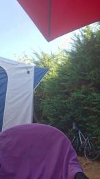 Diablotin234 — Cam4 stream photo (Aug 2026)