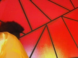 Sharlot Ruiz — modelo de webcam en línea en flirt4free