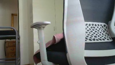 werner123471 — Cam4 stream photo (Apr 2026)