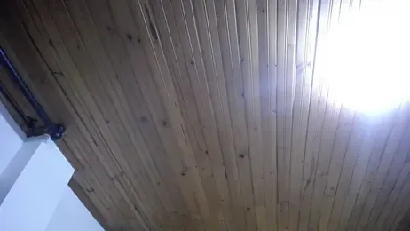 Katara_top5 — Stripchat stream photo (Nov 2025)