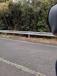 shin_04ji — Stripchat stream photo (Apr 2026)