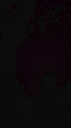 Capitan_filete — modelo de webcam en línea en cam4