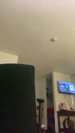 AJ5566 — Cam4 stream photo (Mar 2026)