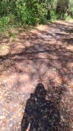 masterchamp01 — Cam4 profile photo