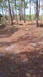 masterchamp01 — Cam4 stream photo (Mar 2026)