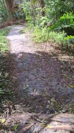 masterchamp01 — modelo de webcam en línea en cam4