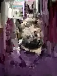 akm_07 — Stripchat stream photo (Jun 2026)