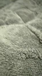 caliente4752 — Cam4 stream photo (Apr 2026)