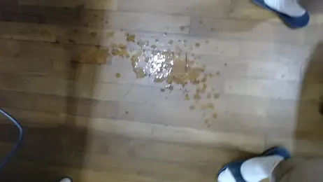 16hornydog — Stripchat stream photo (Jan 2026)