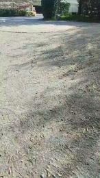 Petitebombe34 — cam4