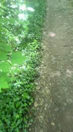 liegeois — Cam4 profile photo