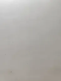 Darty_cpl — Stripchat stream photo (Apr 2026)