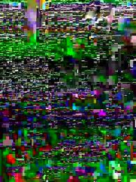 HardAlready — Stripchat stream photo (Mar 2023)