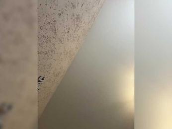 LittleDelora — Bongacams stream photo (Mar 2026)