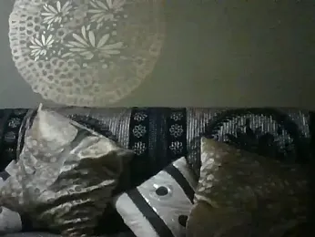 peanutbutteater — Stripchat stream photo (Jun 2026)