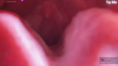 donghuangtaiyi--- — modelo de webcam en línea en stripchat