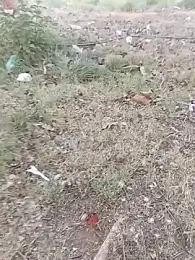 Cafe_kannada — stripchat