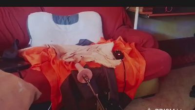 golfo181 — Cam4 stream photo (Sep 2026)