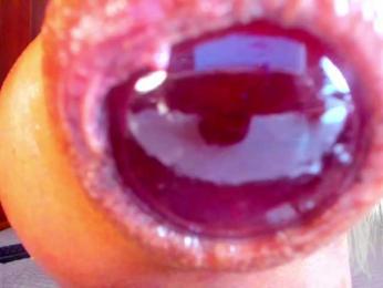 NikkaHotX — bongacams