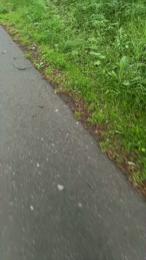 Schwanzmann — Cam4 stream photo (May 2026)