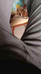 Ercoatto83 — Cam4 stream photo (Apr 2026)
