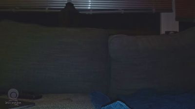 KarimWulf — Cam4 stream photo (Feb 2026)