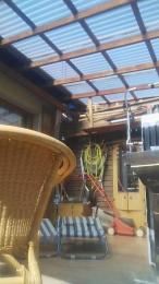 Lichterengel — Cam4 stream photo (Apr 2026)