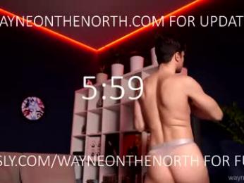 waynenorth — Chaturbate stream photo (Apr 2026)