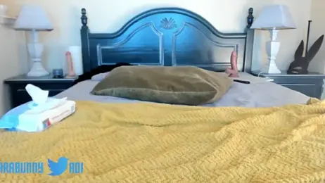 adarabu — Stripchat stream photo (Mar 2026)