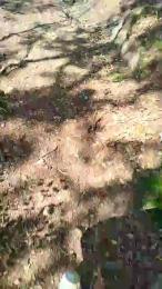 Etoile67moosa — Cam4 stream photo (Apr 2026)