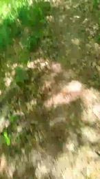 Etoile67moosa — Cam4 stream photo (Apr 2026)