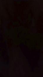 jumy5 — Cam4 stream photo (Feb 2026)